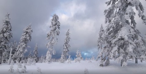 Ostružná – Petříkov – Smrk – Ramzová – Ostružná