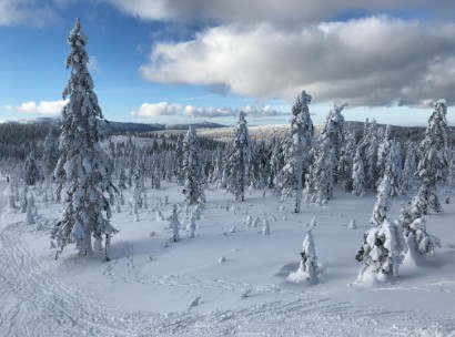 P1 – Velký Šengen (oblast Paprsek)