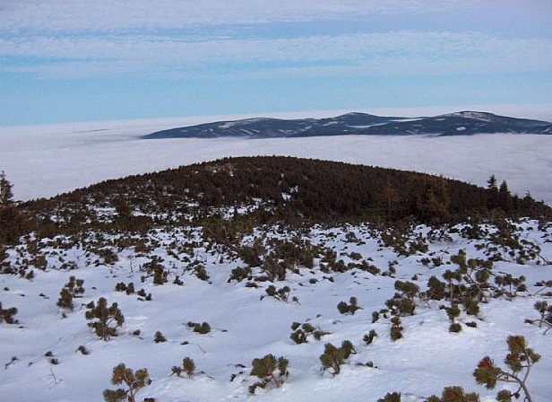 P5 – Medvědí (oblast Paprsek)