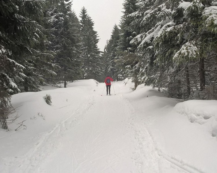 Petříkov – Ostružná (spojovací trasa)